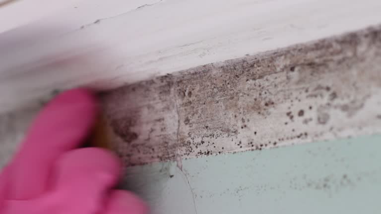 Mold Remediation for Rental Properties in Owensboro, KY